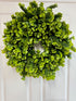 Eucalyptus Wreath (24 inch)