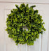 Eucalyptus Wreath (24 inch)