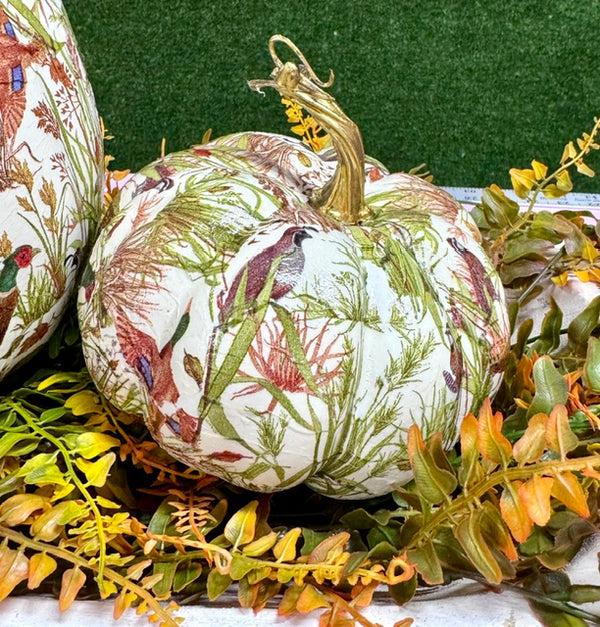 Short & plump Pheasant pumpkin