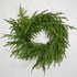 24” Natural Touch Norfolk Pine Wreath-real touch