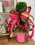 Mattie Round Pink Cachepot with topiary planted inside and styled with a red and pink bow